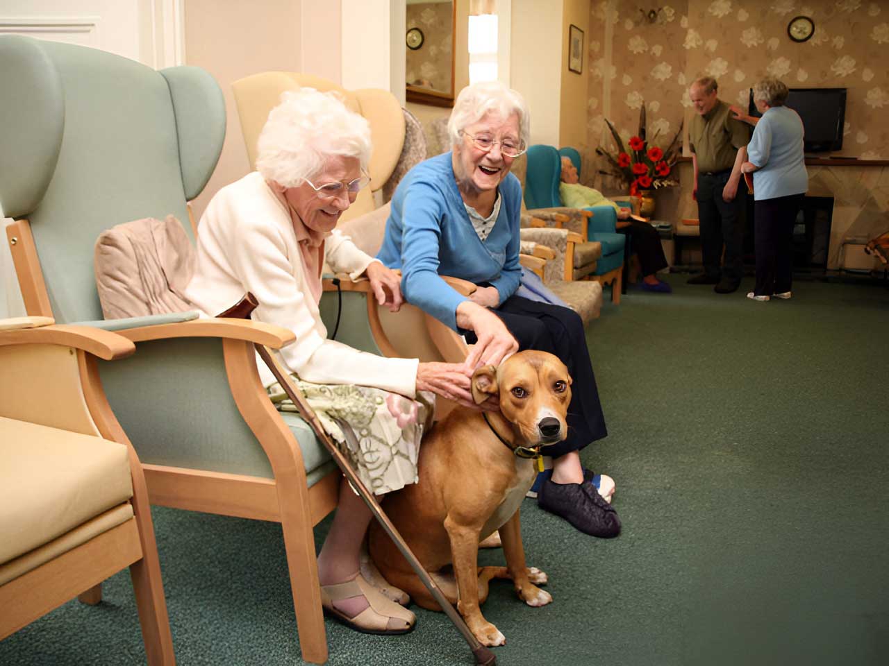 Retirement and nursing home in Wales